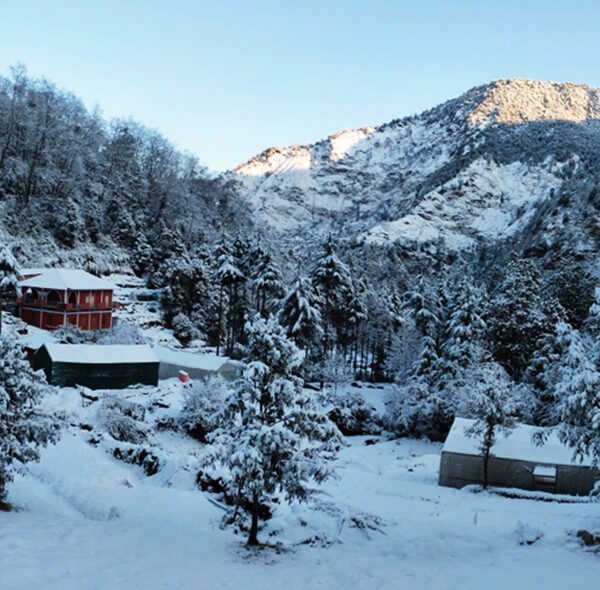 Chopta In Winter Uttarakhand India Gujarat Ahmedabad Paryatan Adventures India